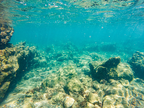 Black Rock, Maui.  Underwater photography 