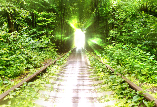 Standing in the middle of a bridge with a train fast approaching.  Long exposure.