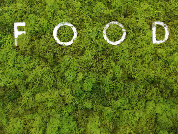 istock mossy wall with white inscription food 1422252465