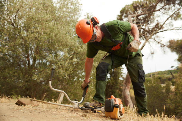 istock Forestry maintenance guy starting a weed trimmer. 1422255930