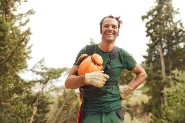 A forestry worker stands and smiles holding a helmet.