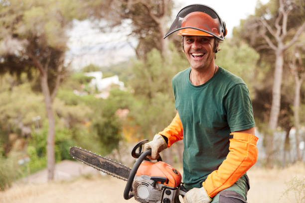 retrato de um lenhador segurando uma motosserra. - arboriculturist - fotografias e filmes do acervo