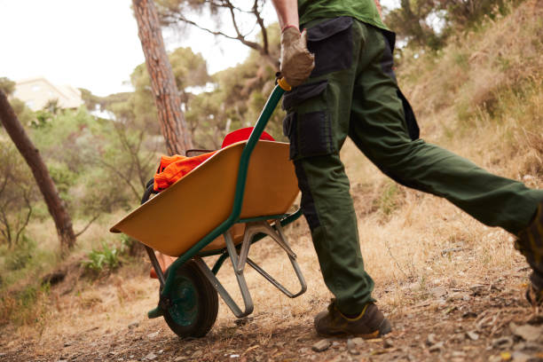 istock Forest maintenance man carrying a wheelbarrow with equipment. 1422256059