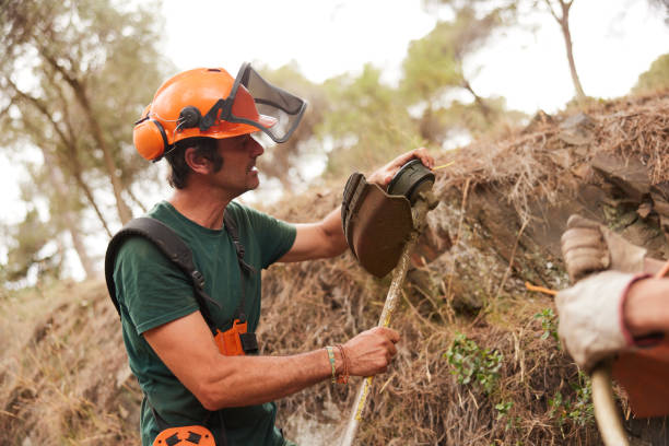 istock Lumberjack doing maintenance to a grass weeder. 1422256095