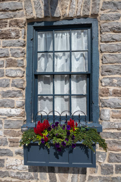istock Blue framed window on a stone wall with flower box 1422265878