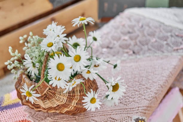 Wild meadow daisies in wicker basket, knitted patchwork tablecloth on table of rural house. Rural summer scene. Floral bouquet, tablecloth knitted from yarn in patchwork technique, on table of village house. Wild meadow daisies in wicker basket. Rustic interior cottagecore stock pictures, royalty-free photos & images
