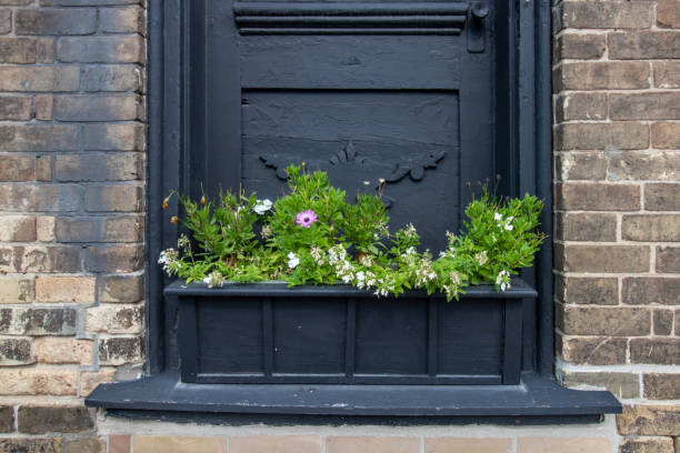 istock window box full of plants and flowers 1422269840