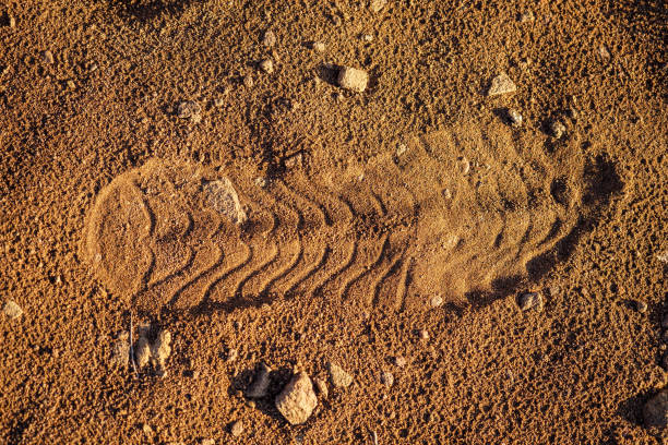 istock footprint on the surface of Mars sand red 1422270311
