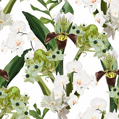 Tropical plant with star-of-Bethlehem, or grass lily (Ornithogalum umbellatum), orchid and calla lily. Flowers and exotic plant. Aquatic plants, Japanese and Chinese illustration.