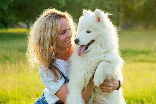 beautiful and charming curly blonde smiling toothy woman in denim shorts are sitting at glass hugging white fluffy cute samoyed dog in the summer park sunset rays field background . pet and hostess