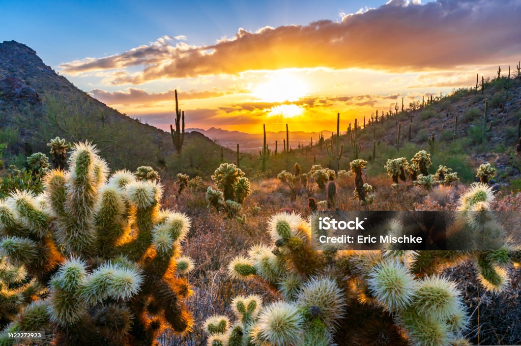 Sunset on Bell Pass in the Sonoran Desert in Scottsdale, AZ Sunset on Bell Pass in the Sonoran Desert in Scottsdale, AZ with Saguaro cacti Arizona Stock Photo
