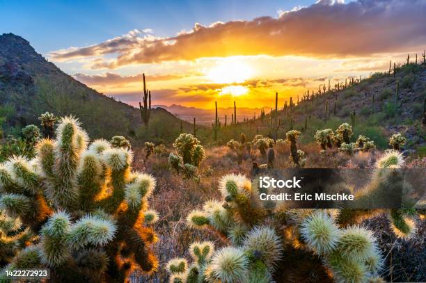 Sunset On Bell Pass In The Sonoran Desert In Scottsdale Az Stock Photo - Download Image Now