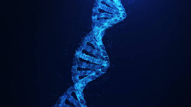 DNA genetic modeling technology concept. helix interconnected polygons on dark blue background stock photo