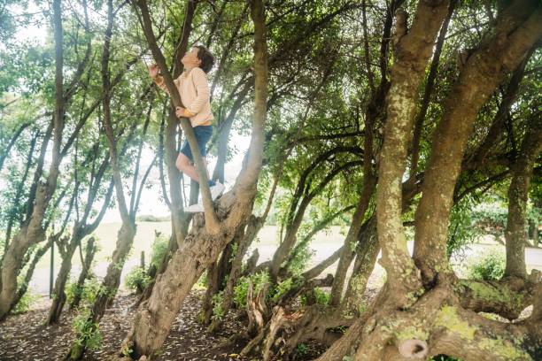 istock Little boy climbs at a great and old tree 1422286923