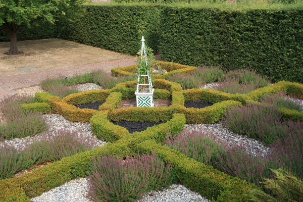 Formal medieval to Tudor Elizabethan Knot Garden. Cressing Temple, Essex Cressing Temple, Essex, United Kingdom, August 17, 2022. Formal walled Garden. Medieval to Tudor, Elizabethan Knot Garden. Outdoors on a summer day braintree essex photos stock pictures, royalty-free photos & images