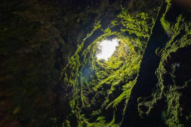 Algar do Carvao cave at Terceira island, Azores vacation. stock photo
