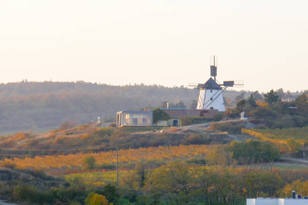 Retz is little countryside town, surrounded by vineyards