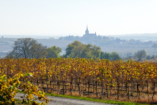 Retz is little countryside town, surrounded by vineyards