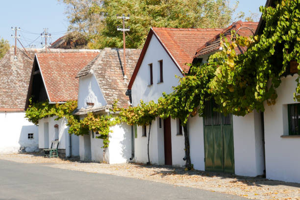 Retz is little countryside town, surrounded by vineyards