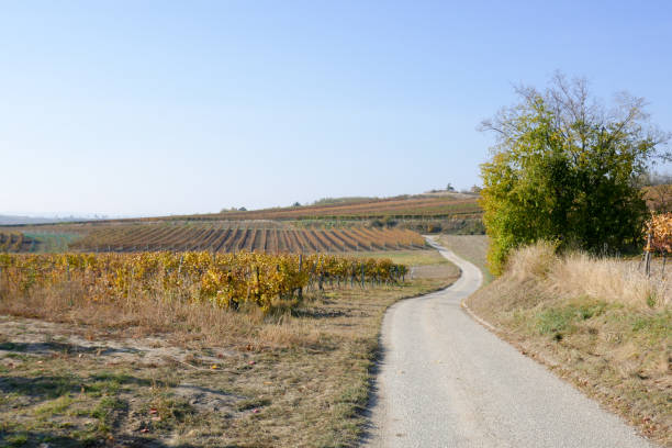 istock Retz wine country, Austria 1422313631