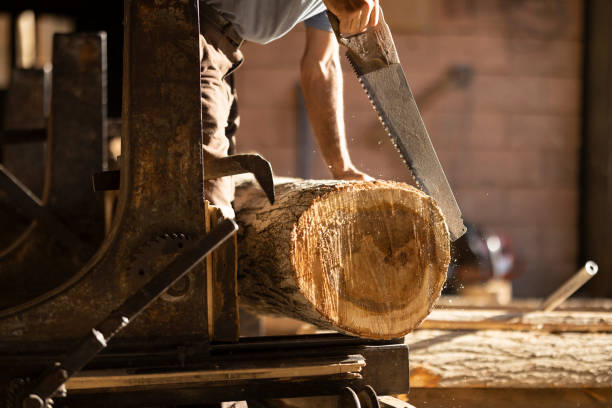 Man carpenter works at his own business