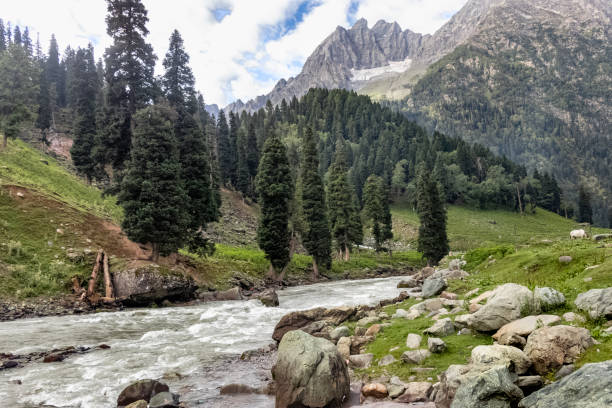 istock Beautiful mountain scenery. River, valley, snow, blue sky, white clouds. In-depth trip on the Sonamarg Hill Trek in Jammu and Kashmir, India 1422317691