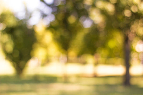 istock City park bokeh yellow background 1422322474