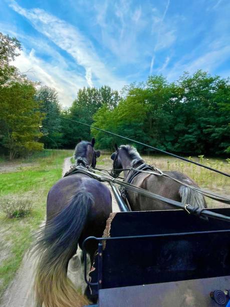 istock Horse carriage on the way 1422323845