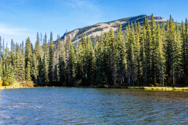 istock Beaverdam Provincial Recreation Area Clearwater County Alberta Canada 1422324074