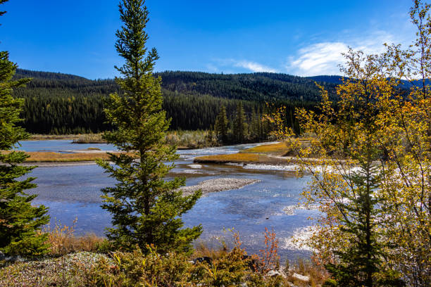 istock Alymer Provincial Recreation Area Clearwater County Alberta Canada 1422324075
