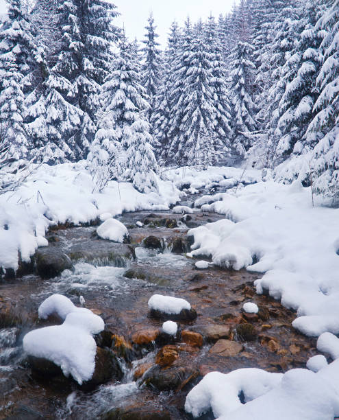 Winter landscape with the river in frosty day