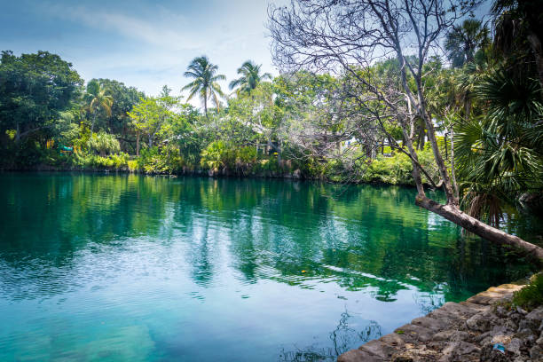 istock Snyder Park in in Fort Lauderdale 1422333319