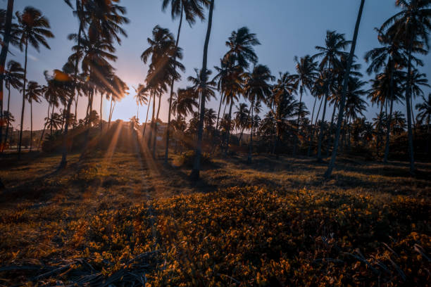 istock Sunset in Paiva beach 1422350177