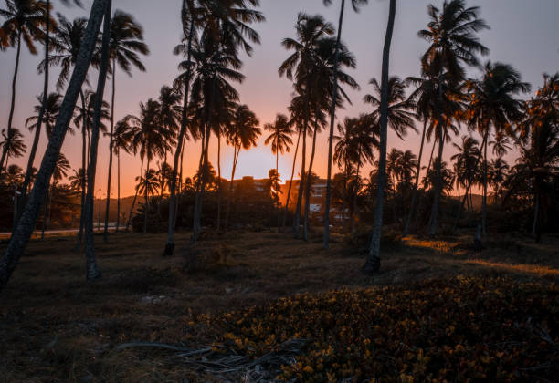 istock Sunset in Paiva beach 1422350196