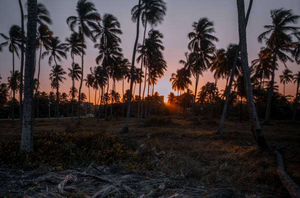 istock Sunset in Paiva beach 1422350218