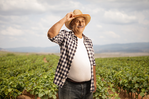 Mature farmer standing on a grapevine nursery and greeting with his straw hat
