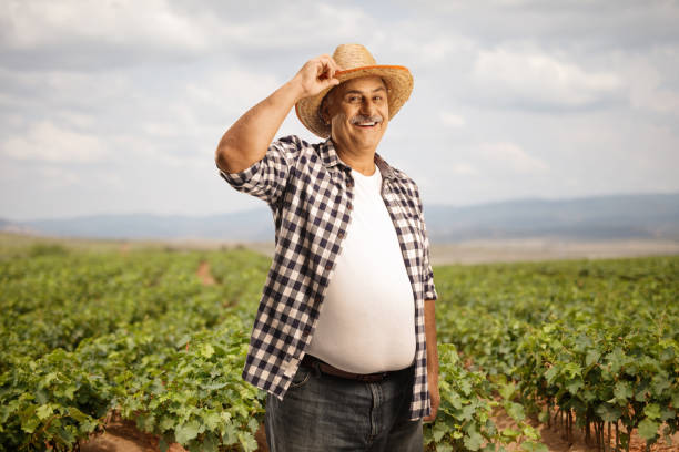зрелый фермер стоит на питомнике виноградной лозы и приветствует шляпой - senior adult gardening freshness recreational pursuit стоковые фото и изображения