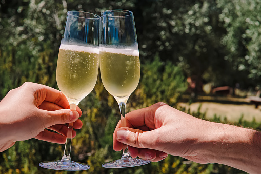 Female and male hands holding two glasses with sparkling white wine close-up over the summer greenery