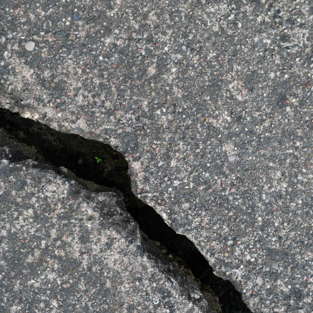 istock Old aged weathered cracked grey black tarmac texture pattern, large detailed damaged textured asphalt grungy background flat lay, tiny green leaves, shoots, sprouts, horizontal rough grained broken pattern macro closeup grunge copy space 1422375945