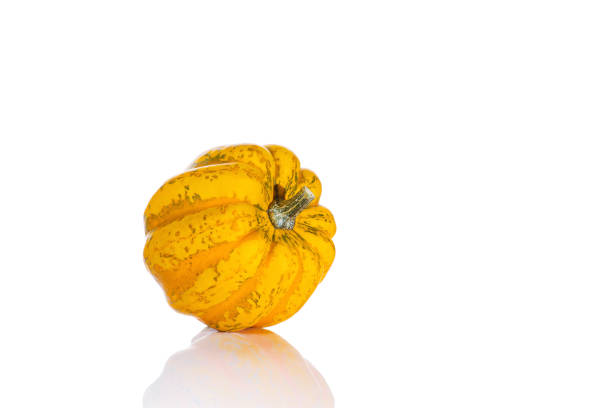Creative vegetable fall food concept. Isolated background.Autumn season, fall harvest, Happy Thanksgiving.Halloween Pumpkins.Border Design.Autumn vegetables.Pumpkin on an isolated white background.