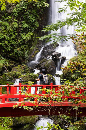 A solo woman traveling in Japan, hiking in a forest with a Japanese red bridge and a stunning waterfall scene.