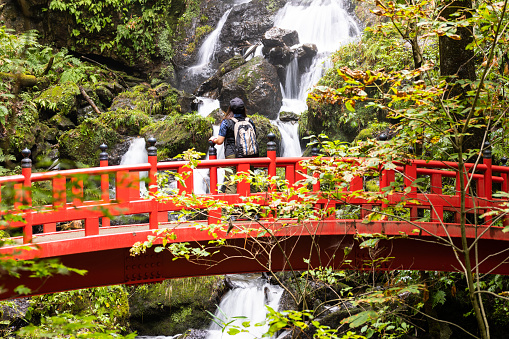 A solo woman traveling in Japan, hiking in a forest with a Japanese red bridge and a stunning waterfall scene.