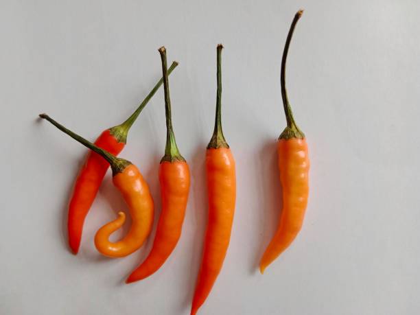 istock hot red chili pepper, on a white background 1422404004