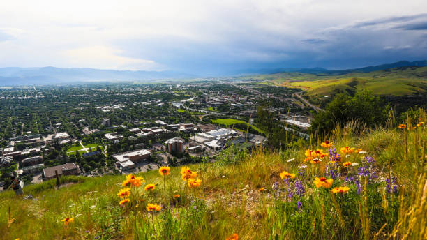 istock Missoula from Mount Sentinel, Montana 1422408755