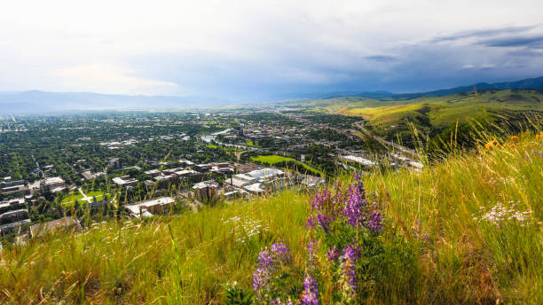 istock Missoula from Mount Sentinel, Montana 1422408901