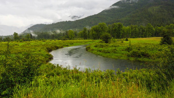 montana w deszczu - idaho beautiful western usa usa zdjęcia i obrazy z banku zdjęć