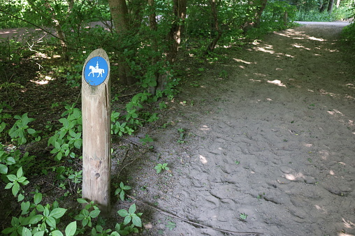 London, UK - Aug 04, 2020: Wooden signpost on chalk cliffs near Seven Sisters Country Park, Eastbourne, East Sussex, England