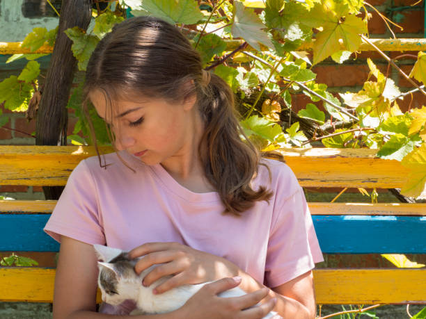 a teenage girl is sitting on a bench and stroking a small kitten against the background of a bush, real life. girl with a kitten outdoors in the yard of the house - real people beautiful outdoors selective focus imagens e fotografias de stock