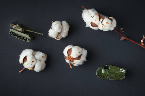 銃身から綿花を発射する戦闘戦車の模型玩具。ロシアのプロパガンダに関するトレンディなウクライナの喧嘩。平和と戦争なしの概念。バヴォヴナはウクライナ語で綿花です。灰色の背景に� - mlrs ストックフォトと画像