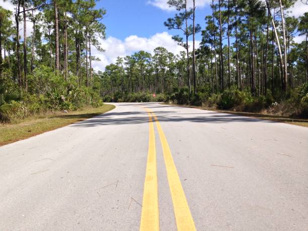istock Street in the Everglades, Florida 1422430417